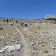 SouthernSierra 516 : SouthernSierra